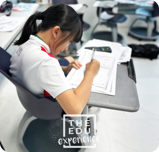 The Edu Experience